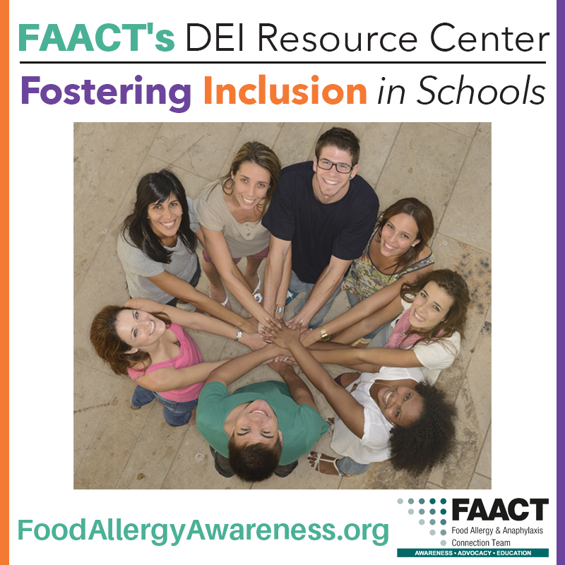 Fostering Inclusion in Schools - FAACT DEI Graphic